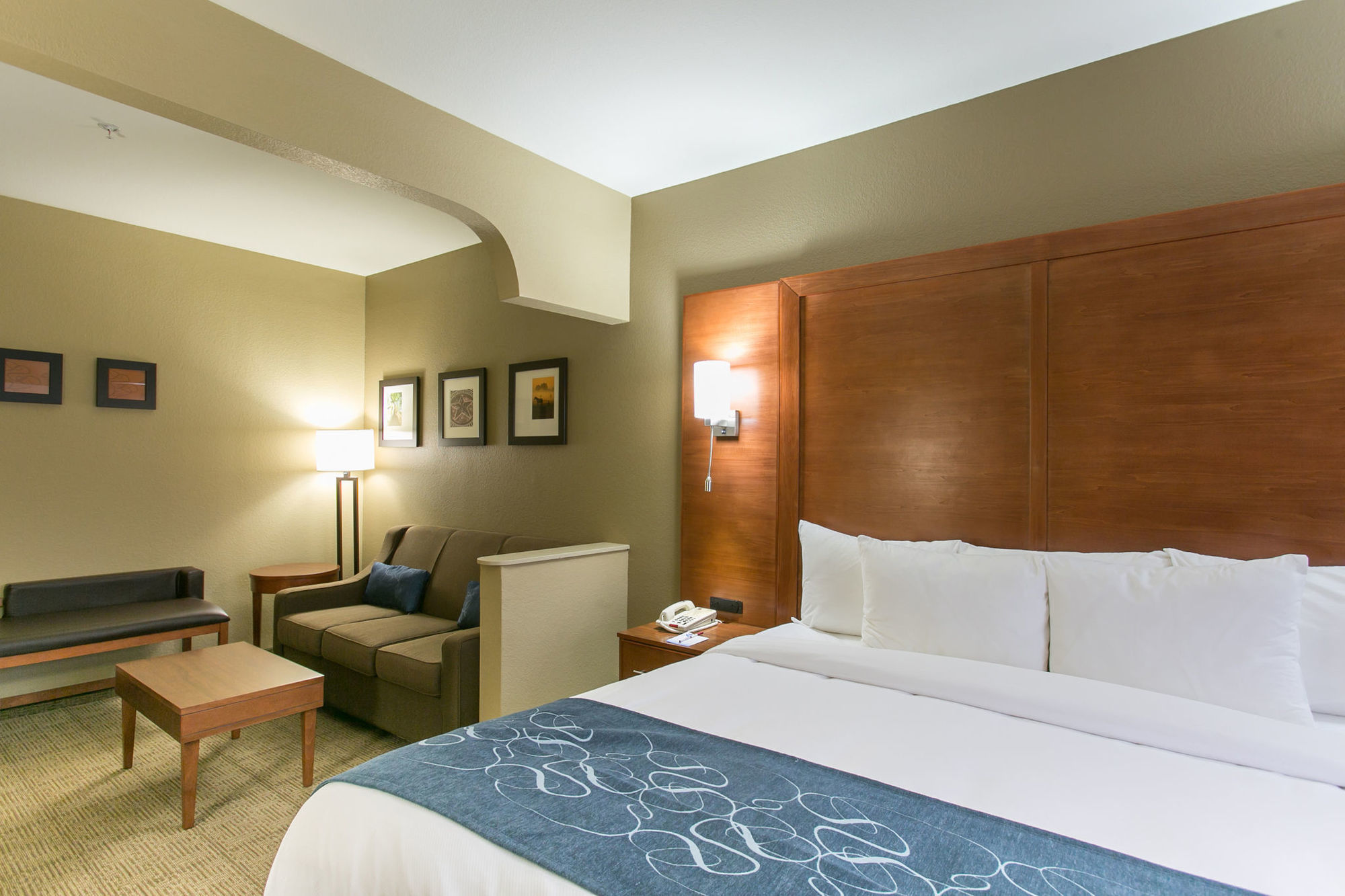 Comfort Suites Austin NW Lakeline Zimmer foto